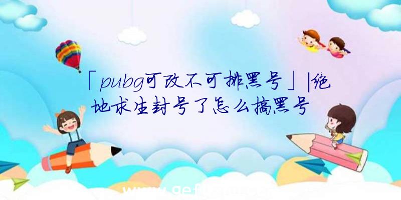 「pubg可改不可排黑号」|绝地求生封号了怎么搞黑号